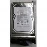Жесткий Диск IBM System Storage 1Tb (U4096/7200) SATAII To 40pin Fibre Channel For DS5020 EXP520 DS5000 EXP5000 DS3950 EXP395 DS4800 DS4700 EXP810(44X3241)