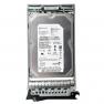 Жесткий Диск IBM TotalStorage (Maxtor) MaXLine Plus II 7Y250M 250Gb (U150/7200/8Mb) SATA To 40pin Fibre Channel 3,5" For DS4100 DS4000 EXP100(90P1346)