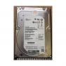 Жесткий Диск HP (Seagate) Enterprise Capacity 3.5 HDD v5 ST4000NM0025 4Tb (U1200/7200/128Mb) 512n 12G SAS 3,5" For Gen5 Gen6 Gen7 Gen8 Gen9 Gen10 D6020 D6000 Apollo Gen10 StoreVirtual 3000 3200(872745-001)