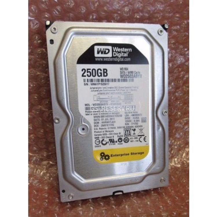Жесткий Диск Western Digital RE4 250Gb (U300/7200/64Mb) TLER RAFF SATAII(WD2503ABYX)