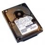 Жесткий Диск IBM Ultrastar 36LZX 18,2Gb (U160/10000/4Mb) 80pin U160SCSI(DDYS-T18350)