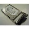 Жесткий Диск IBM Storage (Seagate) Cheetah 10K.7 ST3300007FC 300Gb (U2048/10000/8Mb) 40pin Fibre Channel 3,5" For DS8700 DS8000 DS6800 DS6000(22R5944)